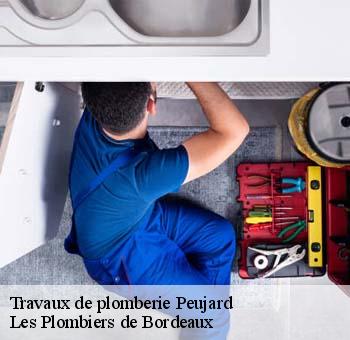 Travaux de plomberie