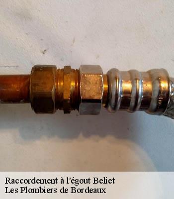 Raccordement à l'égout