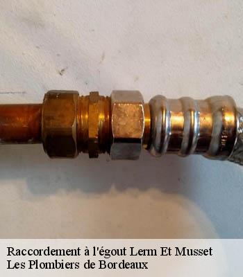 Raccordement à l'égout