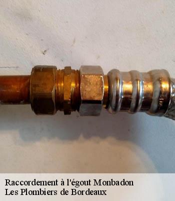 Raccordement à l'égout