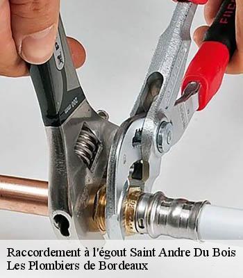 Raccordement à l'égout